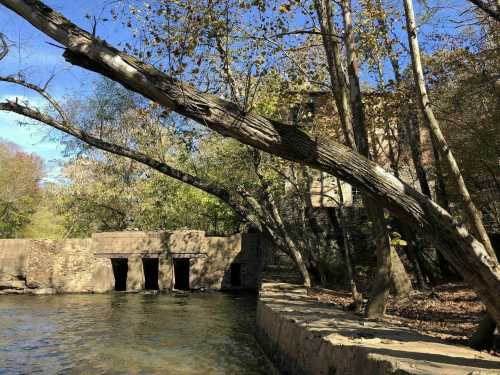 A serene river scene with a tree leaning over the water and stone structures along the bank, surrounded by greenery.