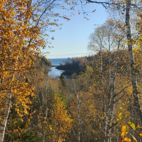 A serene landscape featuring autumn foliage, a river, and a clear blue sky in a tranquil natural setting.