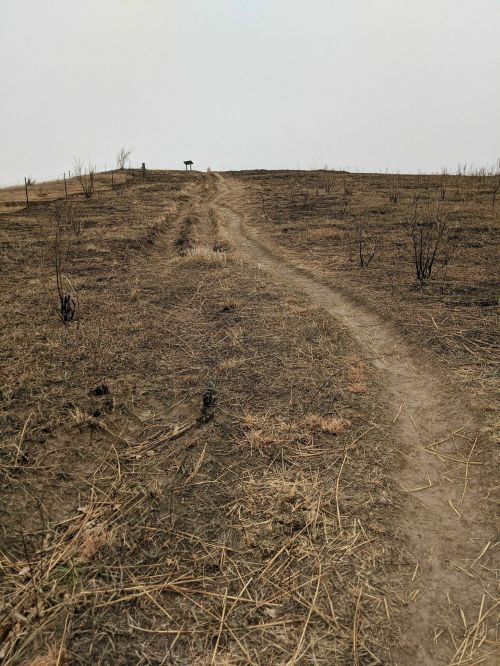 A winding dirt path leads through a barren, scorched landscape under a gray sky.