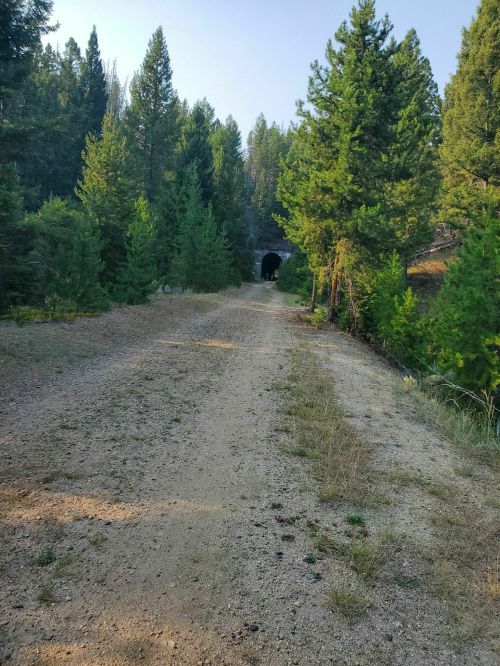 A dirt path leads through a forest of tall green trees, ending at a dark tunnel entrance.