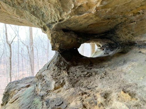 A rocky cave opening surrounded by trees in a misty forest setting.