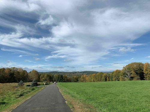 A scenic view of a paved path through a green field, surrounded by trees and a blue sky with wispy clouds.