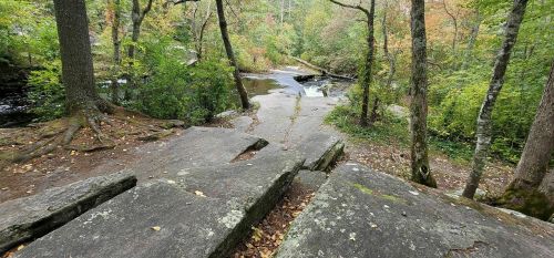 A rocky path leads through a forested area with trees and a stream in the background, showcasing autumn colors.