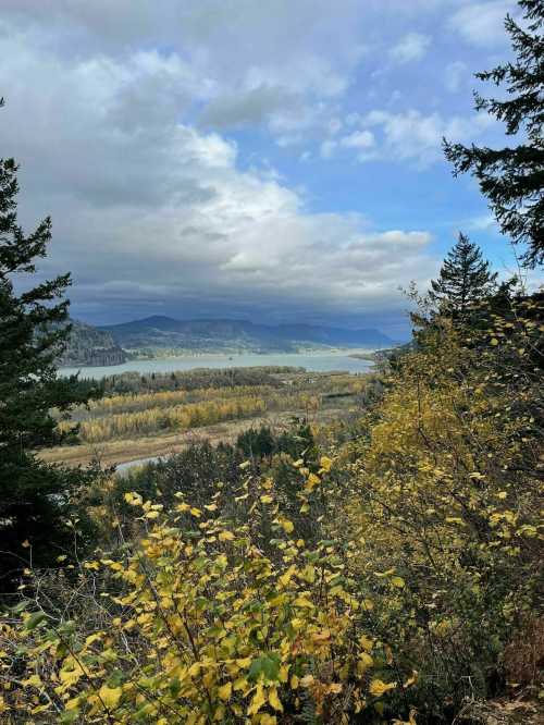 A scenic view of a valley with a river, surrounded by trees and mountains under a partly cloudy sky.