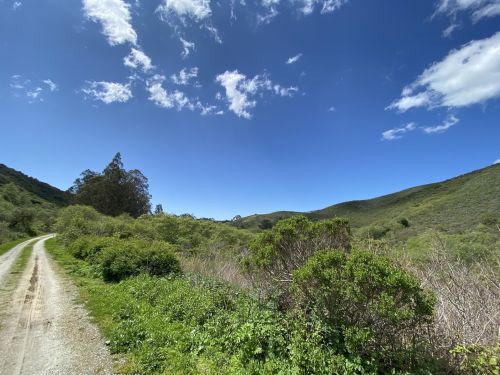A scenic dirt path winds through lush greenery under a bright blue sky with scattered clouds.