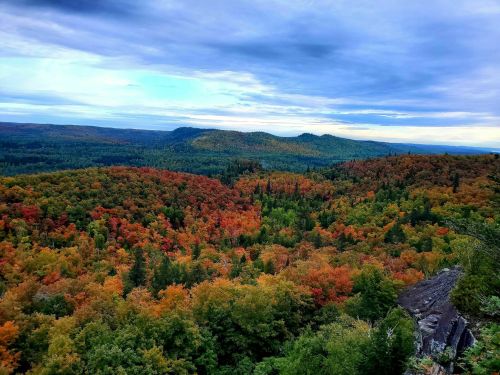 A panoramic view of vibrant autumn foliage covering rolling hills under a cloudy sky.