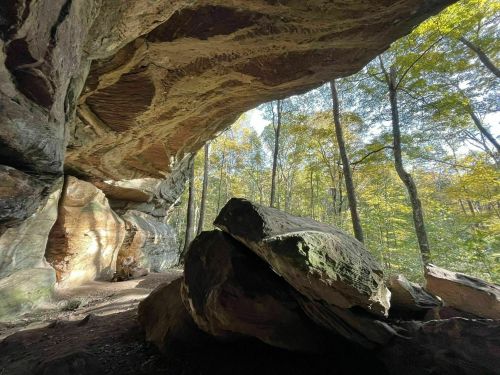 A rocky cave entrance surrounded by trees and sunlight filtering through the foliage.