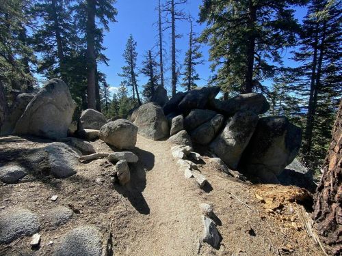 A dirt path winds through a forest of tall trees and large boulders under a clear blue sky.