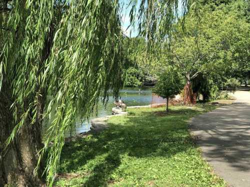 A serene park scene featuring a pond, lush greenery, and a willow tree, with a path winding alongside the water.