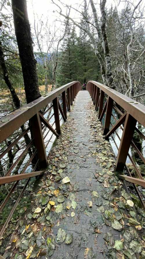 A wooden bridge covered in leaves, surrounded by trees and a river, leading into a misty forest.