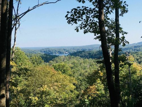 A scenic view of a lush green landscape with a river winding through the trees under a clear blue sky.
