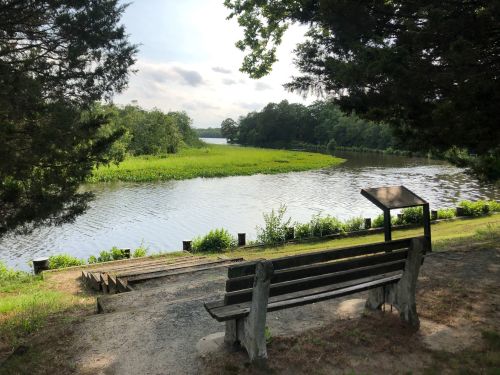 A serene view of a river surrounded by greenery, with a bench and informational sign in the foreground.