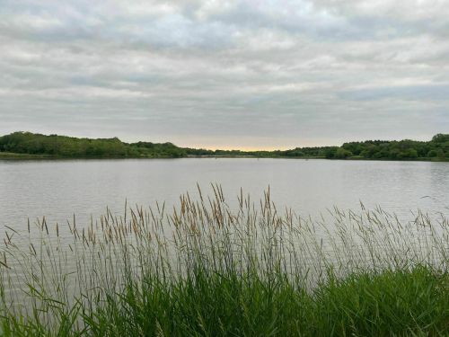 A calm lake surrounded by lush greenery under a cloudy sky, with tall grass in the foreground.