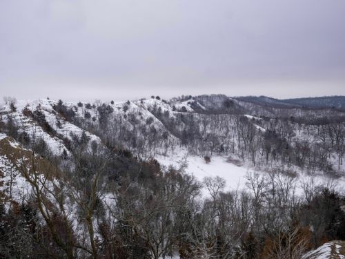 A snowy landscape with rolling hills and bare trees under a cloudy sky.