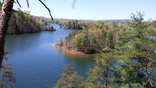 A serene lake surrounded by lush greenery and trees, with small boats visible on the water under a clear blue sky.