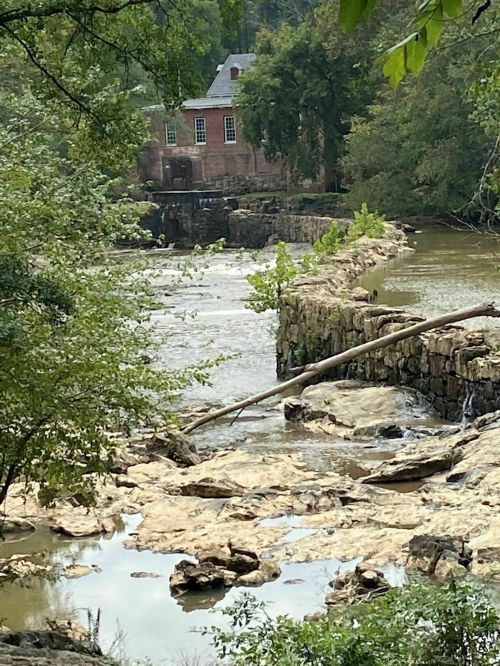 A serene river scene with rocky banks, a fallen tree, and a historic building in the background surrounded by greenery.