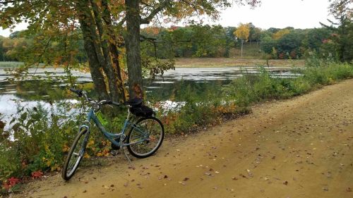 A bicycle rests on a dirt path beside a calm lake, surrounded by autumn foliage and colorful trees.