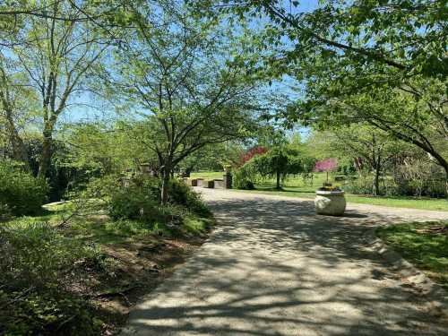 A serene pathway in a park, lined with trees and greenery, under a clear blue sky.