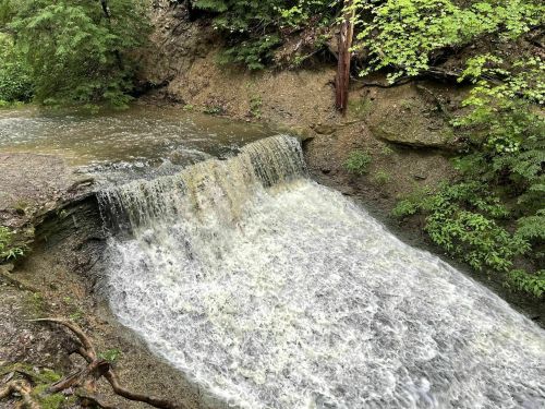 A serene waterfall cascading over rocks into a calm stream, surrounded by lush green foliage.