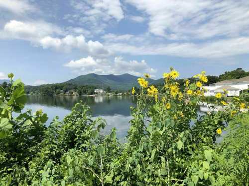 A serene lake scene with sunflowers in the foreground and mountains under a blue sky with fluffy clouds.