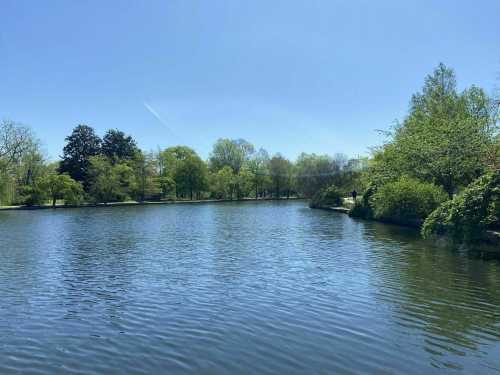 A serene lake surrounded by lush green trees under a clear blue sky.