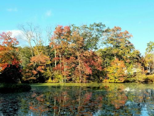 A serene lake surrounded by trees displaying vibrant autumn colors under a clear blue sky.