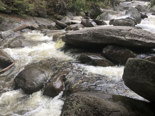 A rocky riverbed with flowing water, surrounded by greenery and large boulders.