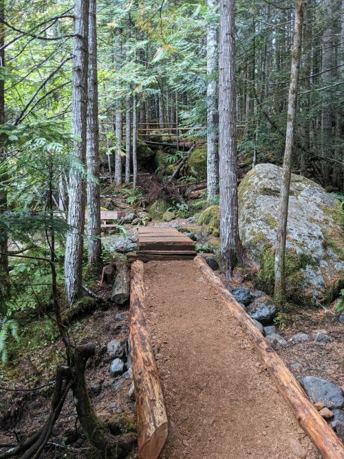 A winding dirt path through a lush forest, lined with wooden logs and surrounded by tall trees and rocks.