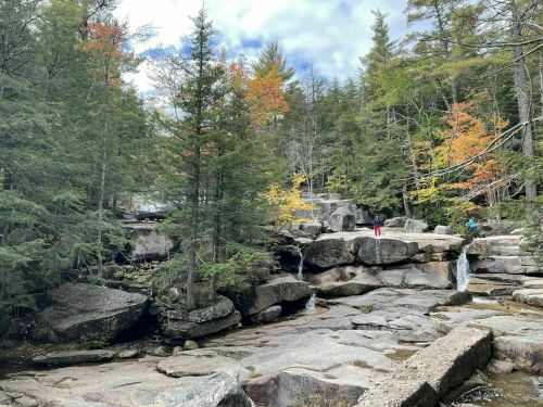 A serene forest scene with rocky terrain, small waterfalls, and colorful autumn foliage under a cloudy sky.
