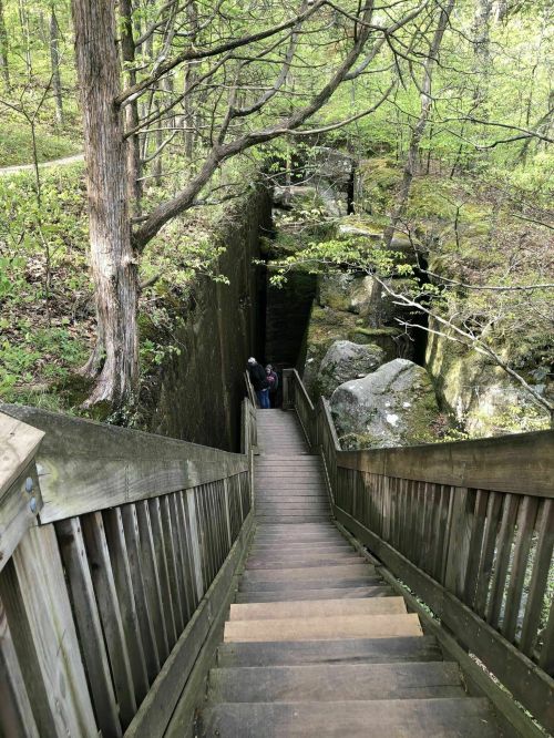 A wooden staircase leads down through a lush green forest, flanked by rocks and trees. A person is visible at the bottom.