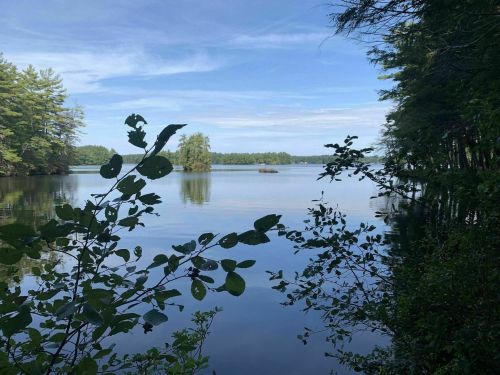 A serene lake surrounded by trees, reflecting the sky and greenery on a calm day.