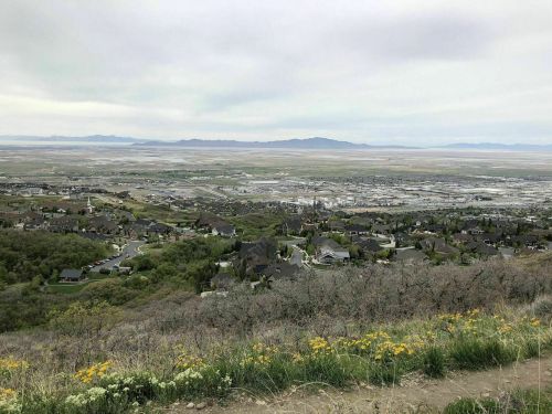 A panoramic view of a valley with houses, greenery, and distant mountains under a cloudy sky.