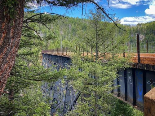 A trestle bridge surrounded by lush green trees under a blue sky with scattered clouds.