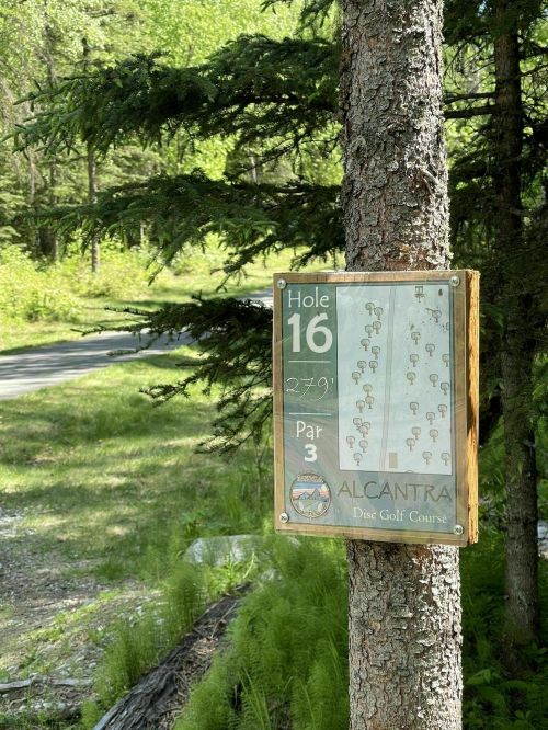 Sign for Hole 16 at Alcantara Disc Golf Course, showing a par 3 layout and distance of 279 feet. Surrounded by trees.