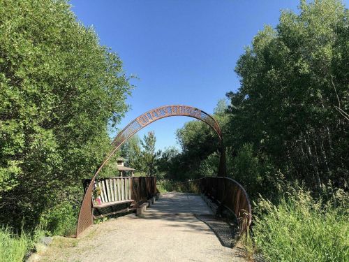 A metal arch bridge leads into a lush green pathway surrounded by trees under a clear blue sky.
