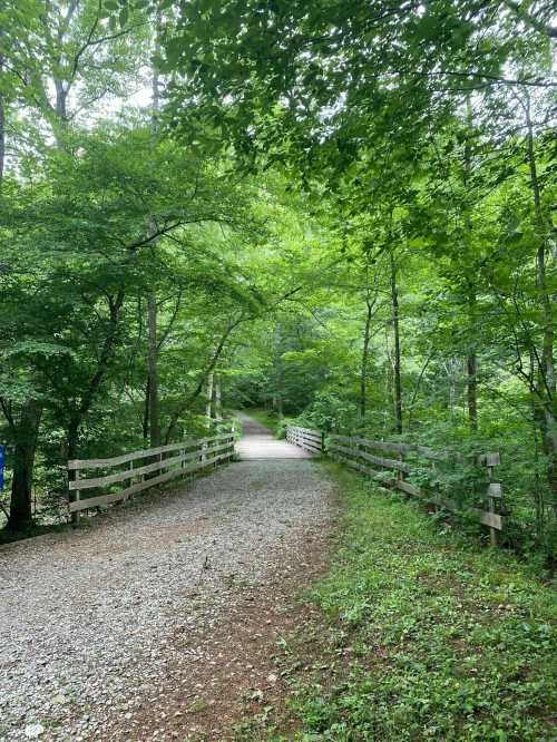 A serene gravel path winding through lush green trees, bordered by a wooden fence.