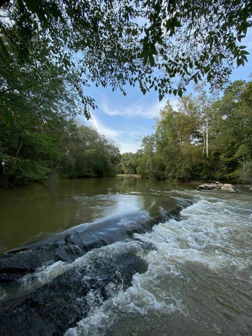 A serene river flows over rocks, surrounded by lush greenery and trees under a clear blue sky.