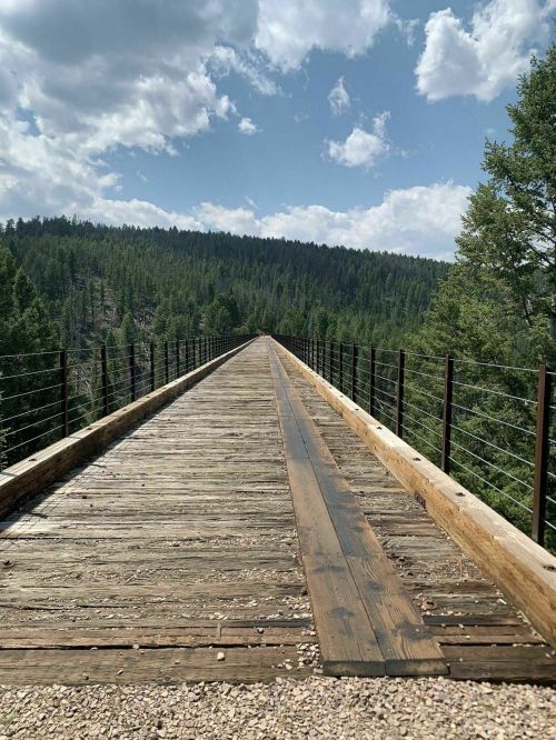 A wooden bridge stretches into the distance, surrounded by lush green trees and a blue sky with fluffy clouds.