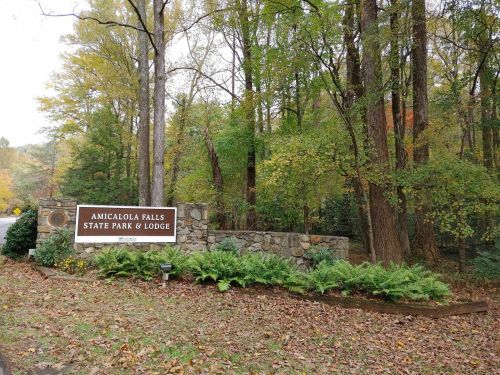 Sign for Amicalola Falls State Park & Lodge surrounded by trees and ferns in a wooded area.