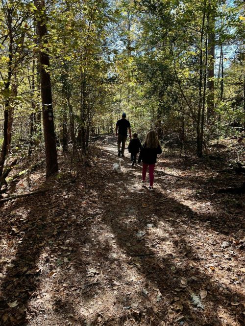 A man and two children walk a dog along a wooded trail, surrounded by trees and dappled sunlight.