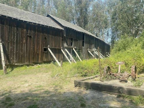 Abandoned wooden buildings with a rusty piece of machinery in a grassy area surrounded by trees.