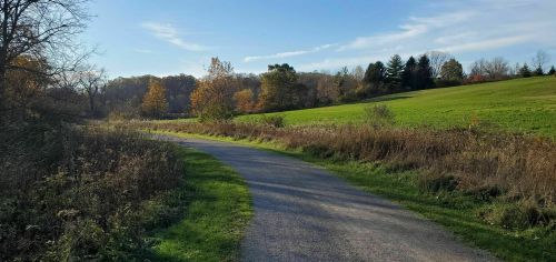 A winding path through a grassy area with trees and autumn foliage under a clear blue sky.