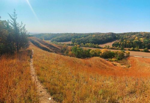 A panoramic view of rolling hills and vibrant autumn foliage under a clear blue sky.