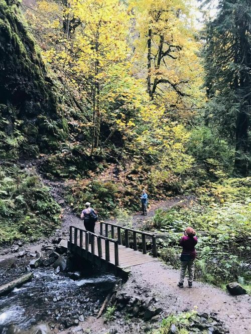 Two hikers on a trail near a wooden bridge, surrounded by vibrant autumn foliage and a small stream.