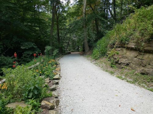 A gravel path winds through a lush green forest, flanked by rocks and colorful flowers on either side.