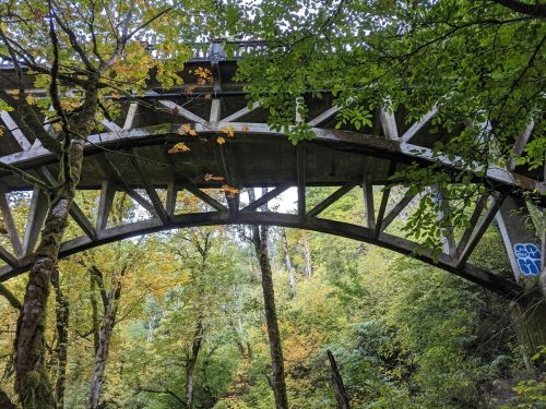 A wooden arch bridge surrounded by lush green trees and autumn foliage in a forested area.
