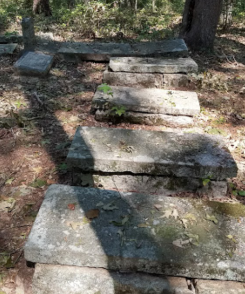 A path of weathered stone slabs in a wooded area, partially covered with leaves and shadows.