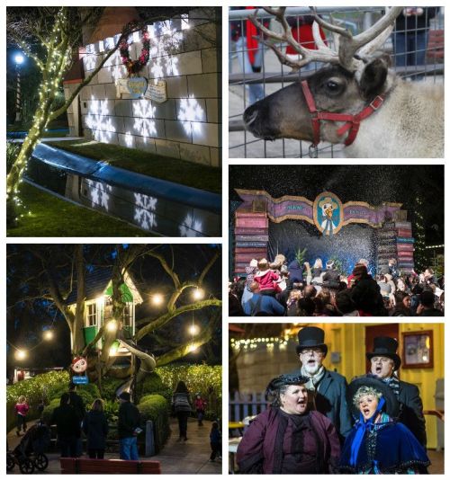 A festive collage featuring holiday lights, a reindeer, a stage performance, and a decorated tree.