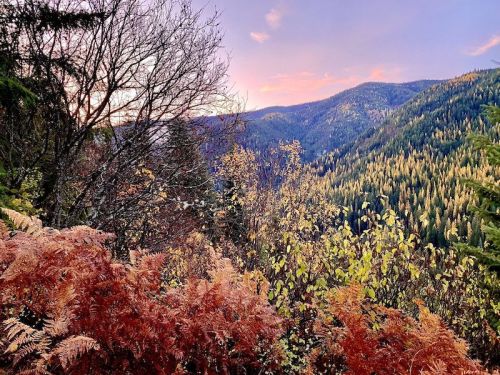 A scenic view of mountains and trees, featuring autumn foliage in shades of orange, yellow, and green under a colorful sky.