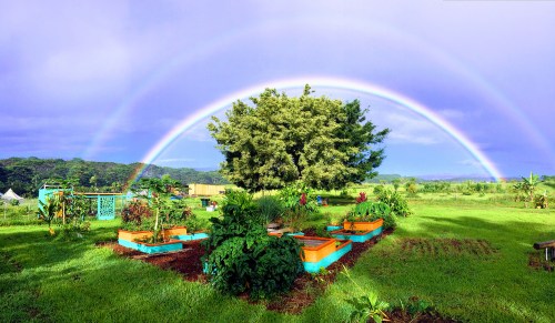 A vibrant garden with raised beds under a double rainbow and a lush green landscape in the background.